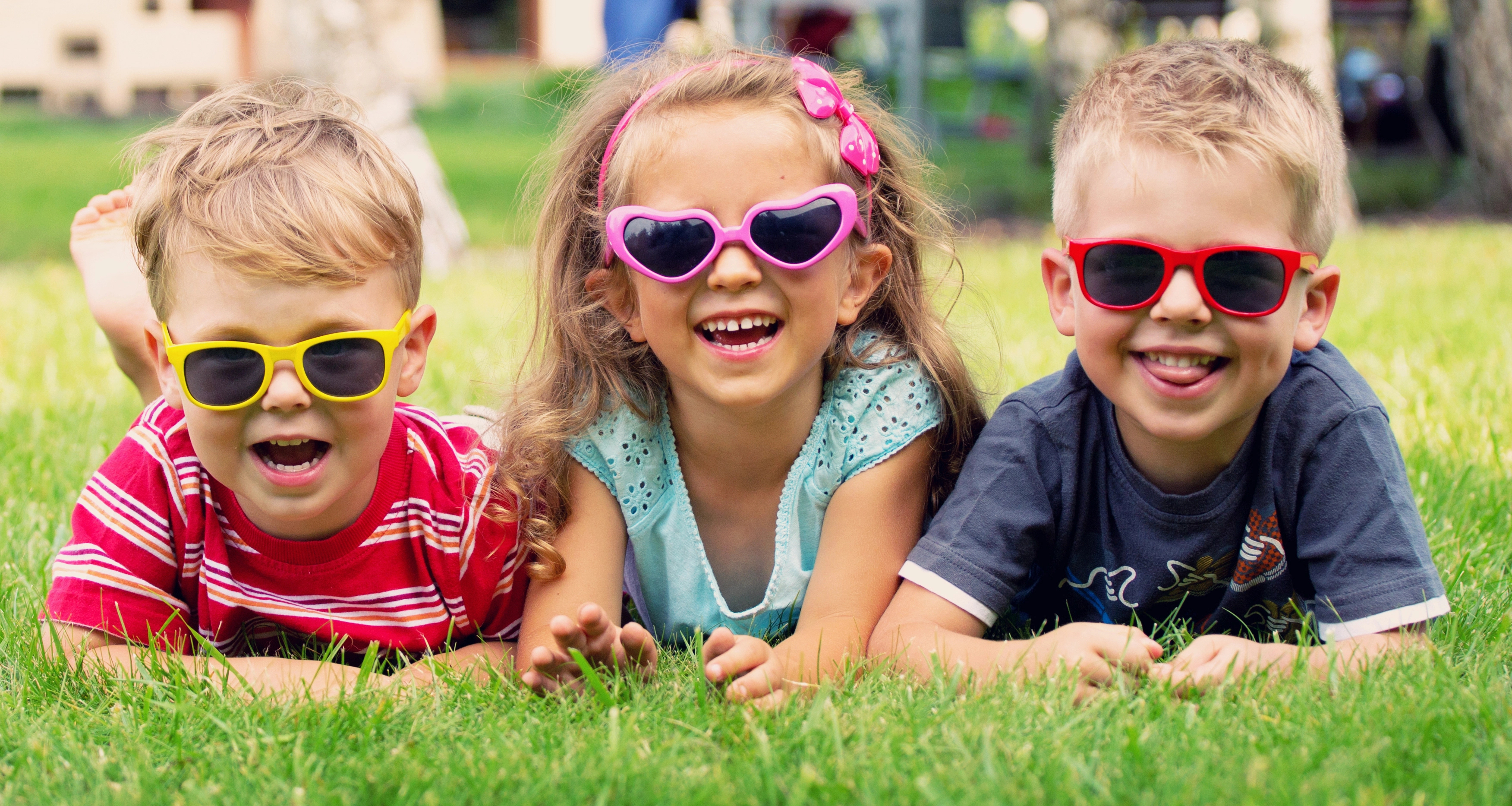 image Public summer schools free of charge, special schools included