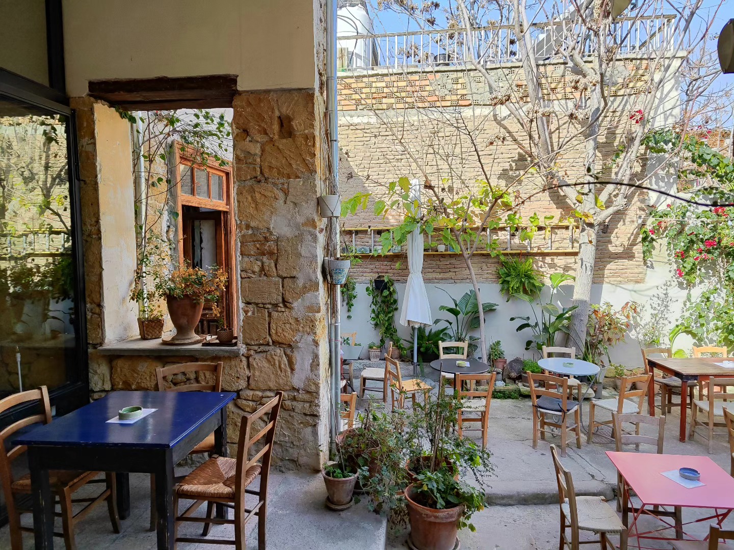 cover Café turns backyard into outdoor cinema