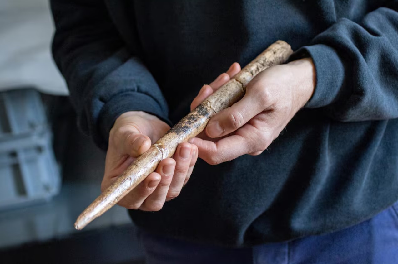 image Tools made of whale bones reveal inventiveness of prehistoric people