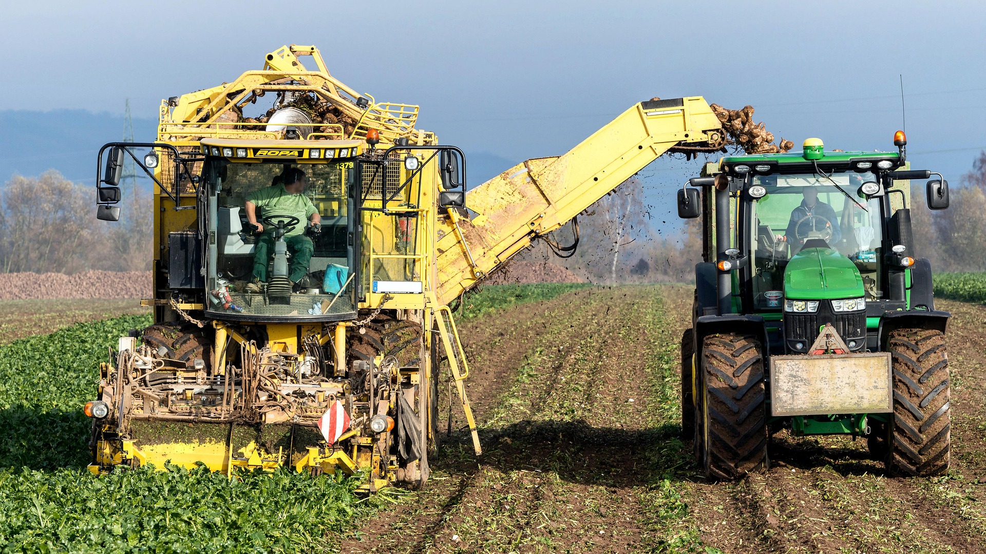 image Government launches €67.5m investment scheme to boost agriculture