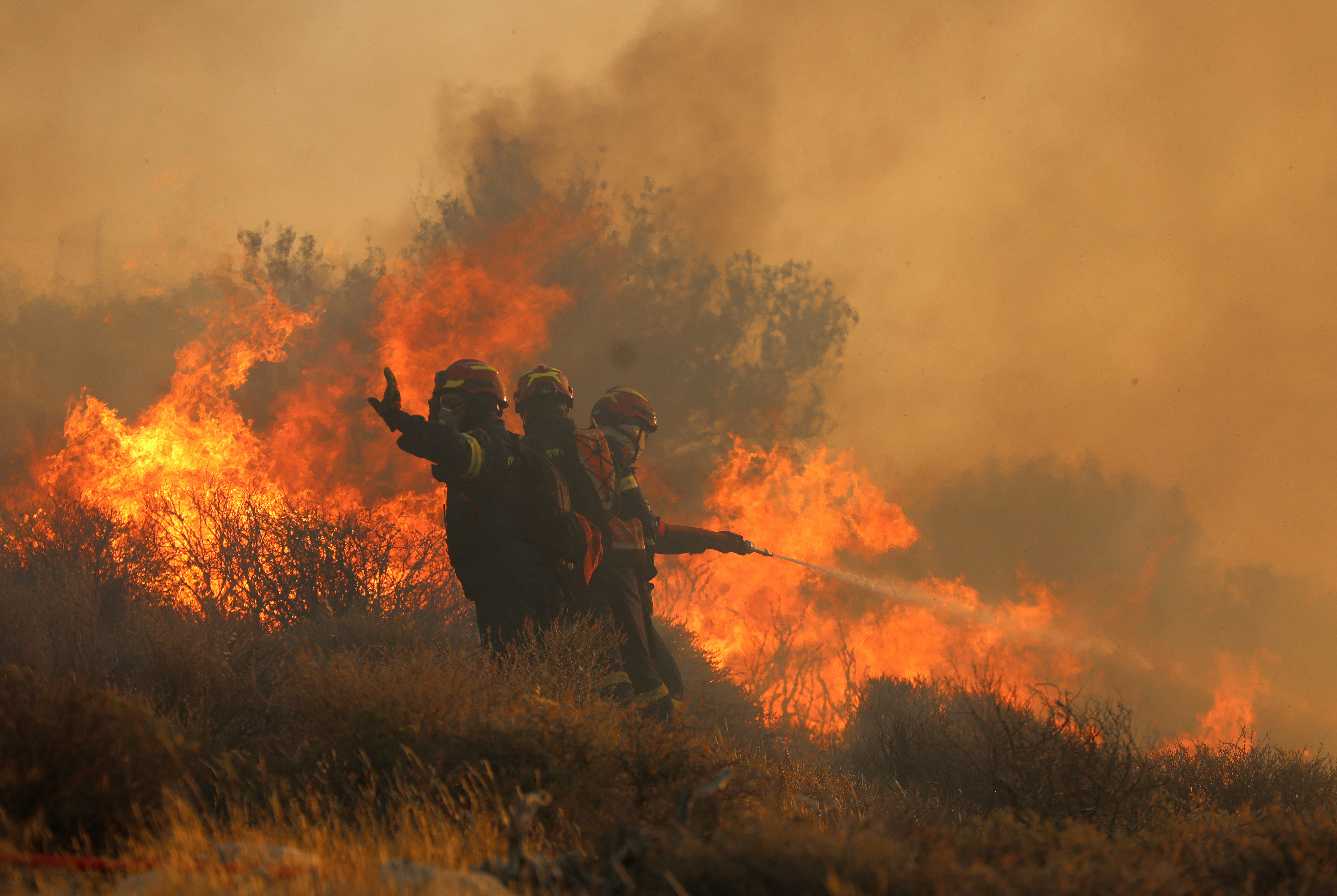 cover Wildfire on Greek island of Crete scorches forest, forces evacuation of over 1,000