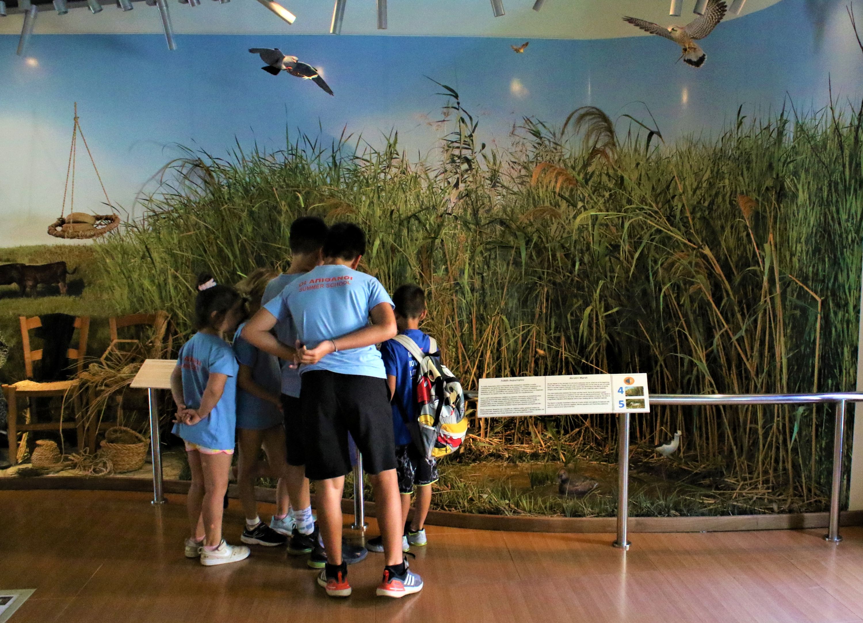 cover Hundreds of pupils flock to revamped Akrotiri environmental education centre