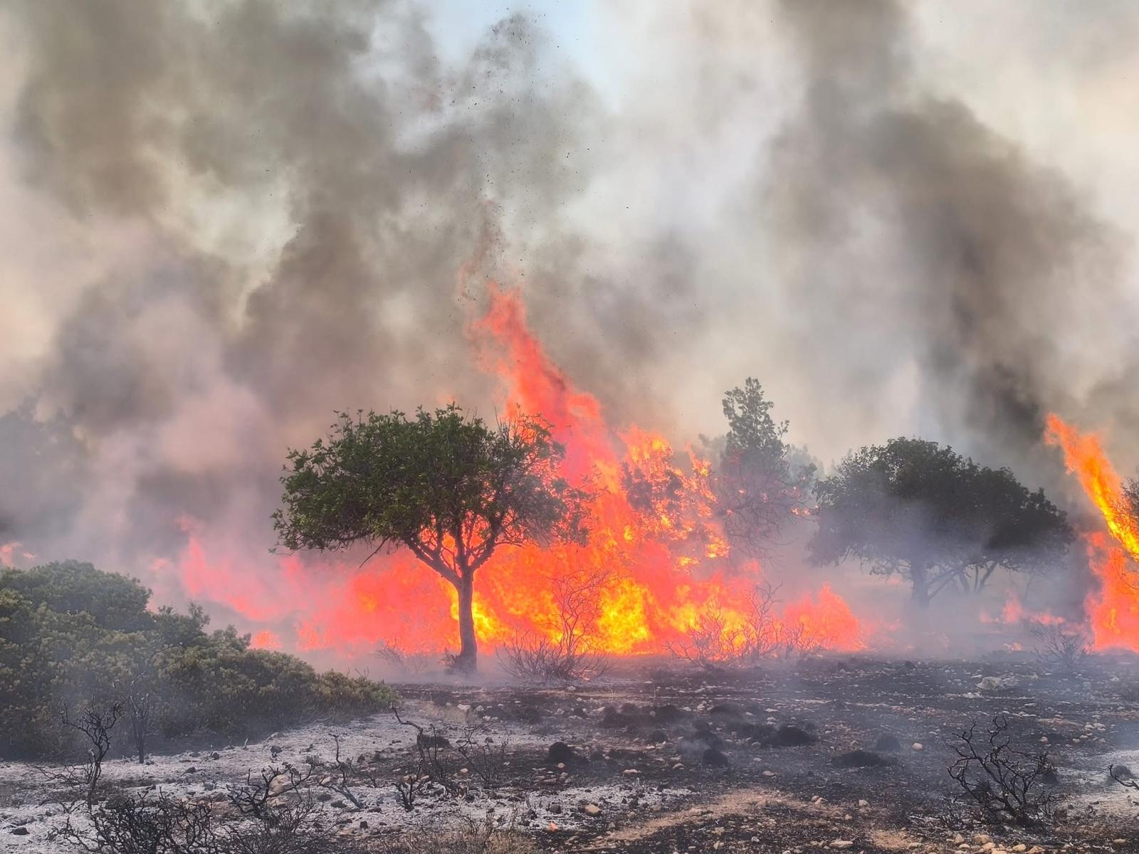cover Kyrenia district wildfire under control
