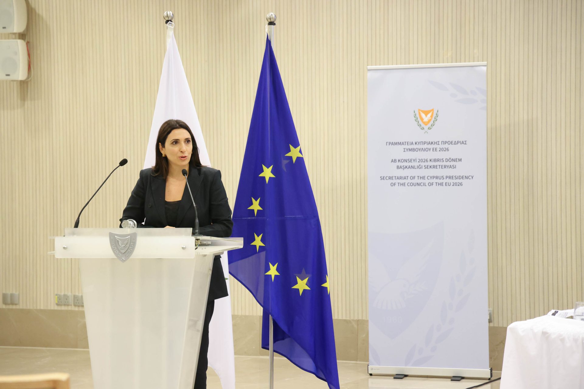 image Cyprus presidency aims to leave a mark amid challenging times, says Raouna