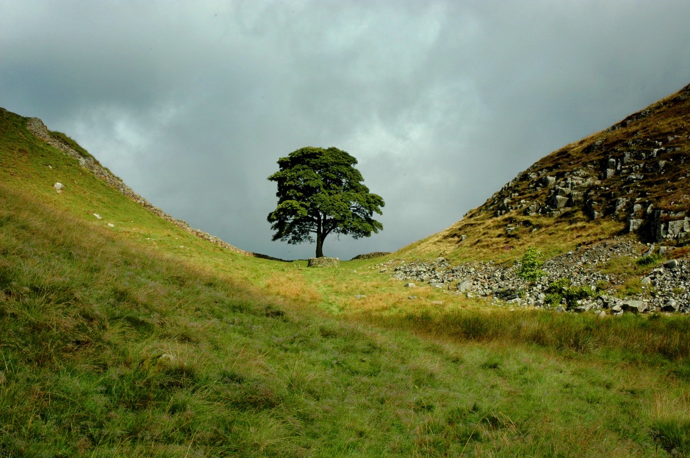 cover Men jailed for felling Britain&#8217;s iconic &#8216;Sycamore Gap&#8217; tree