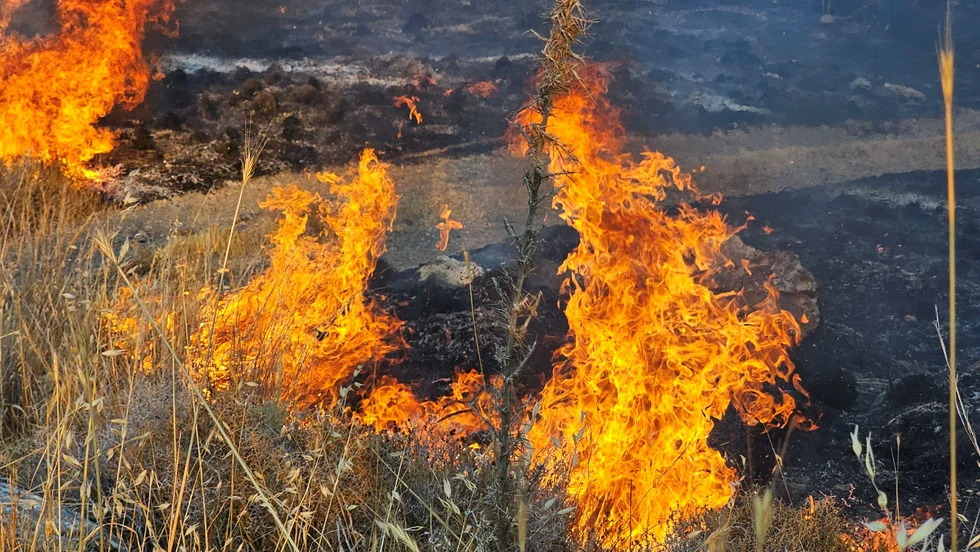 cover Paphos district wildfire contained