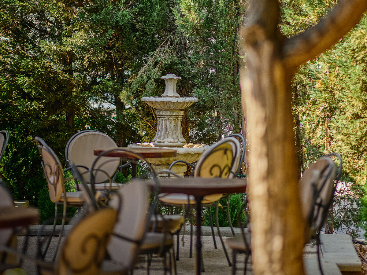 cover Audit Office finds irregularities in Academia park café tenders