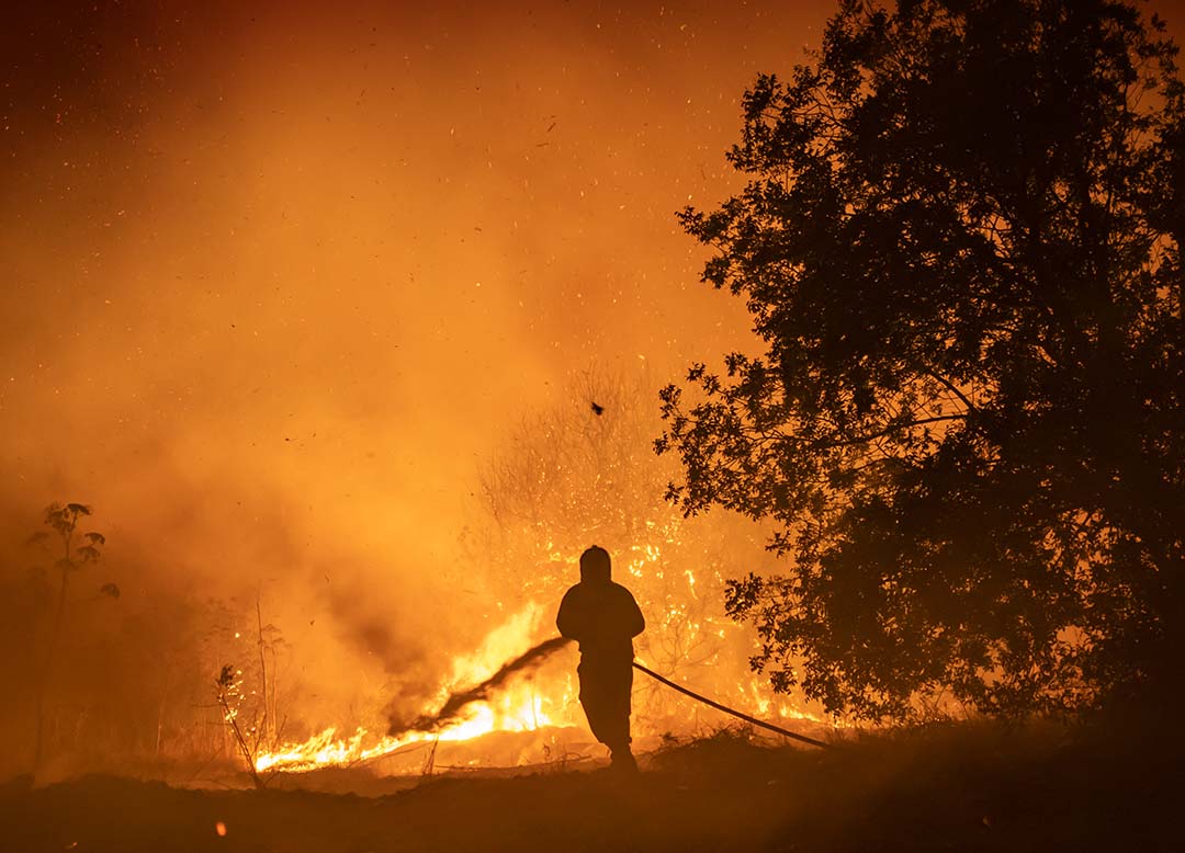 cover 77 fires seen in first five months of 2025