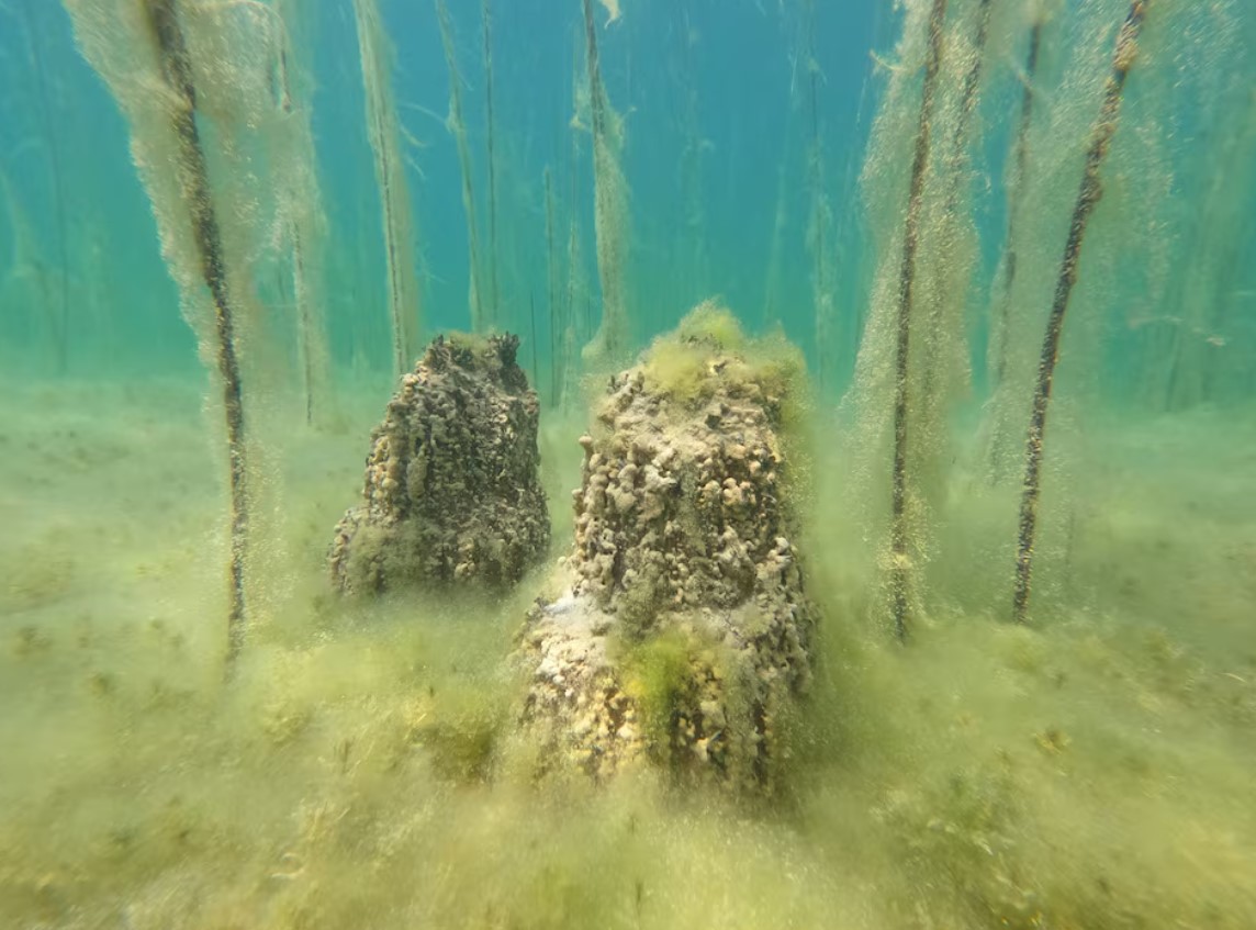 cover Europe&#8217;s oldest lake settlement uncovered in Albania