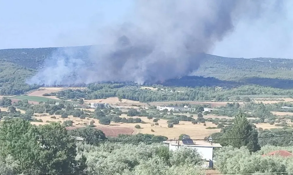 cover Power goes out in north of Paphos district as wildfire rages