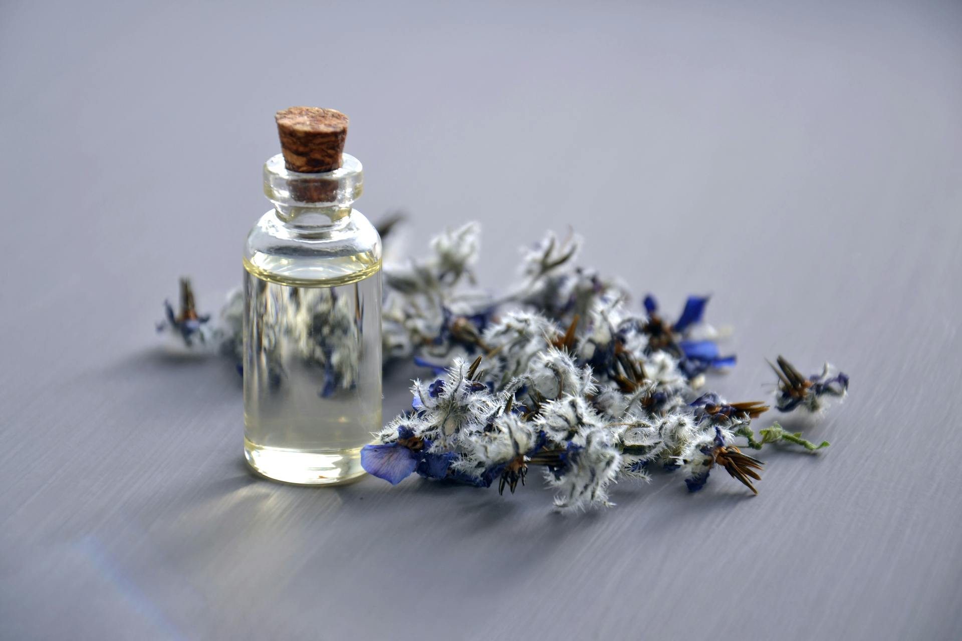 cover Researchers revive Europe’s historical scents, including ‘the smell of hell’