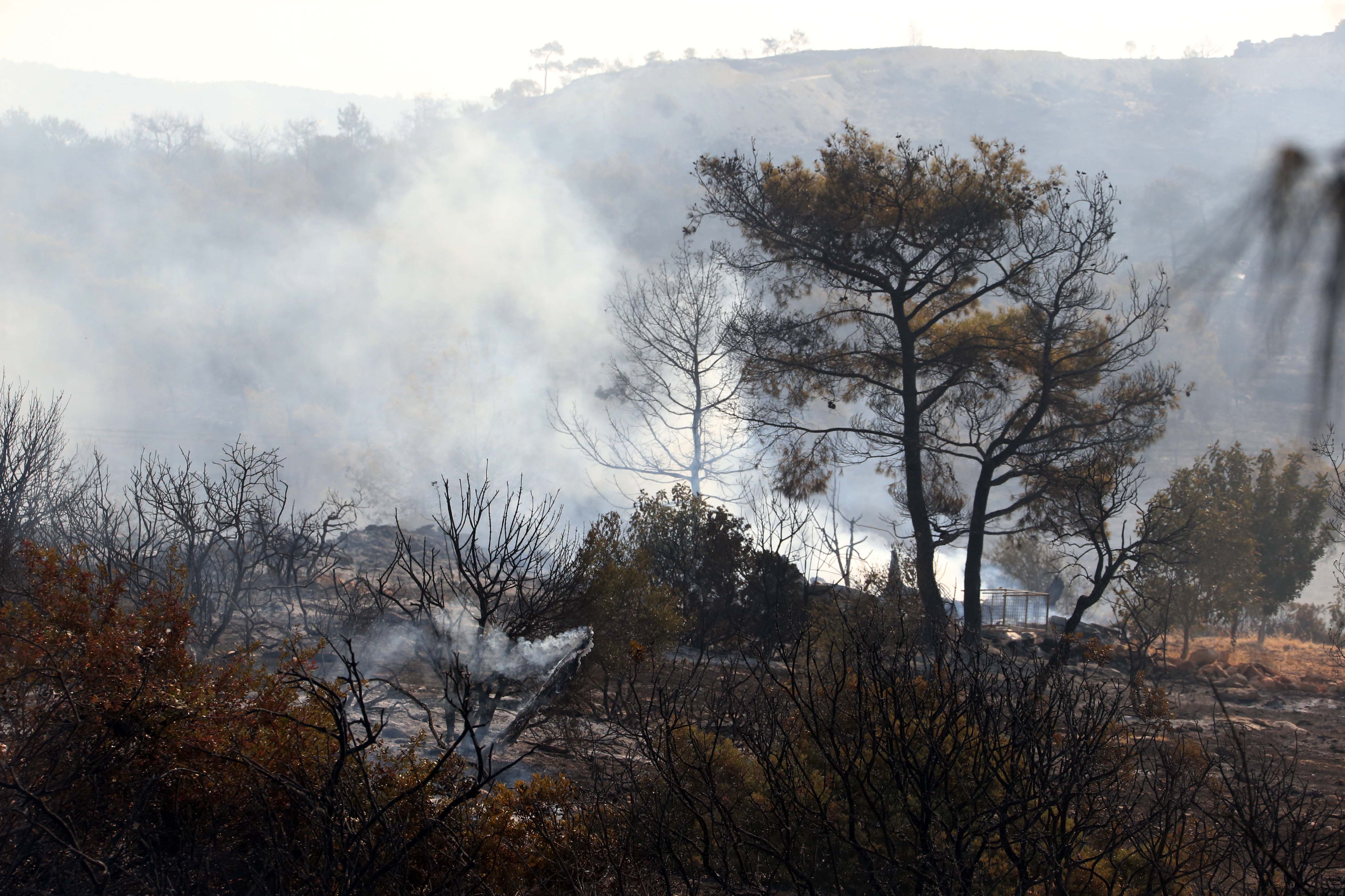 cover Almost €3m given to fire-affected farmers so far