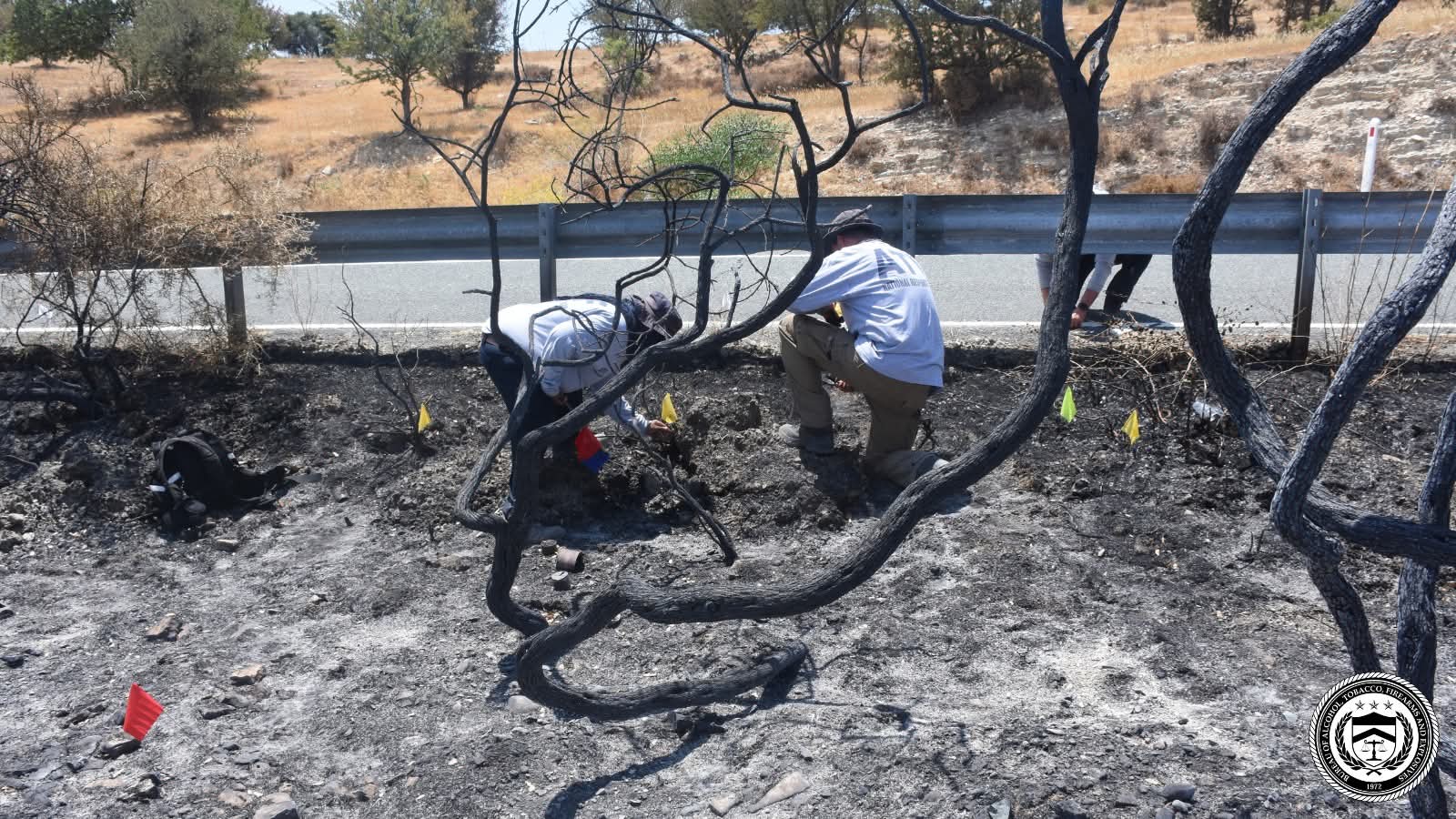 image ‘Impossible to control everything’ in wildfire, says Hartsiotis