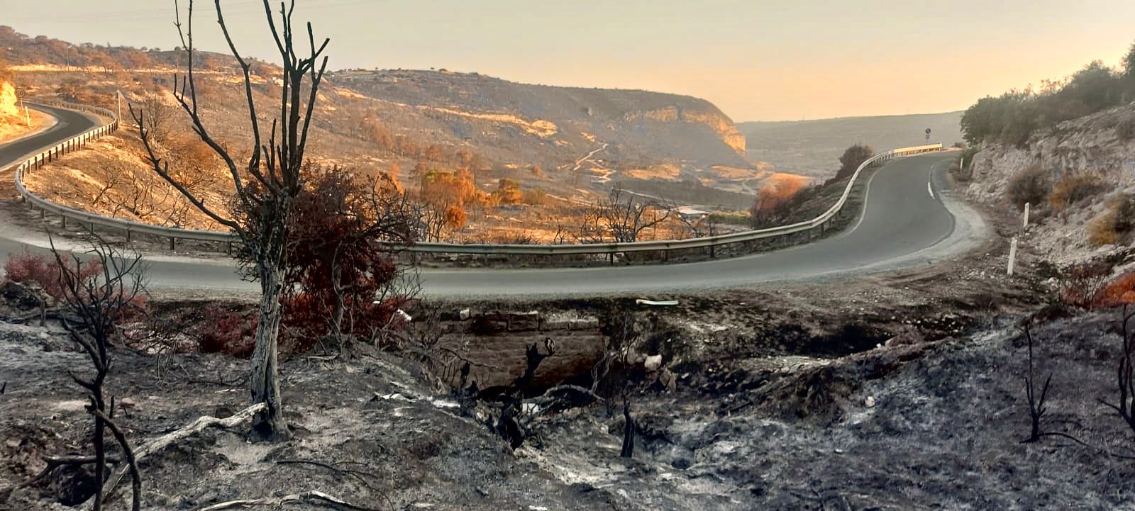 cover Over €14,000 donated to families affected by wildfires
