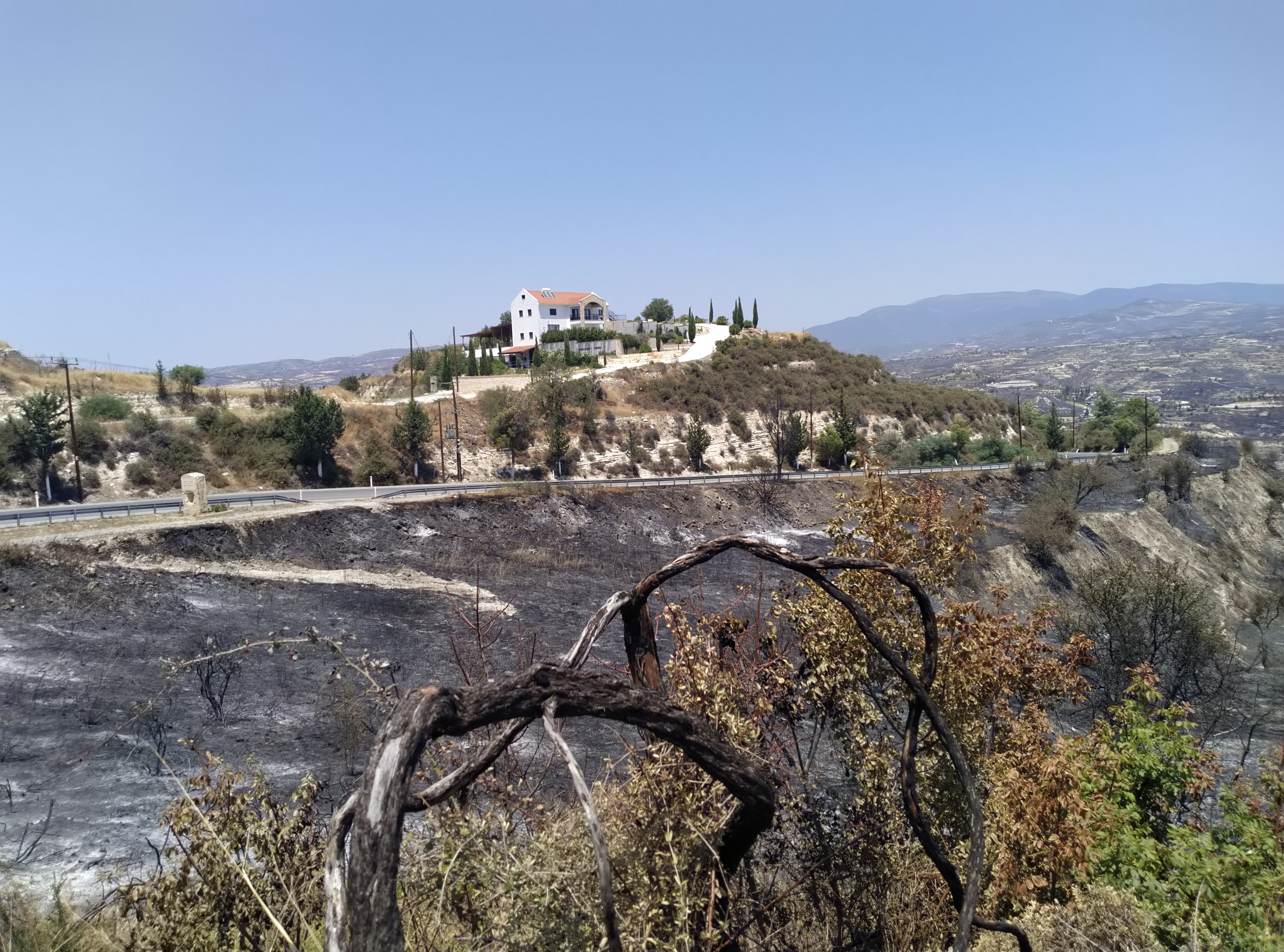 image Limassol’s Monolithos winery reconnected to power after wildfire devastation