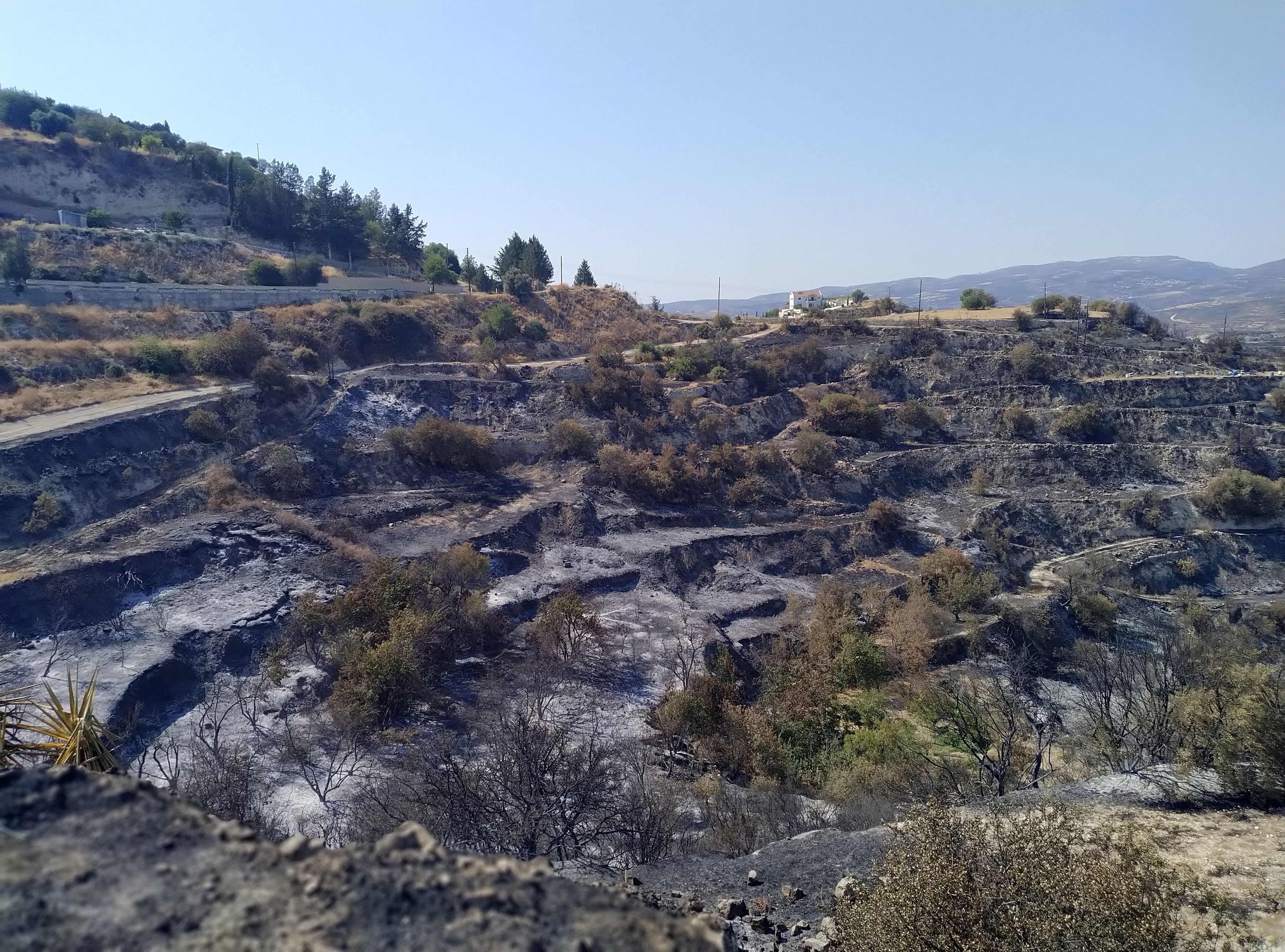 cover One year on, Limassol mountain communities still rebuilding after deadly wildfire