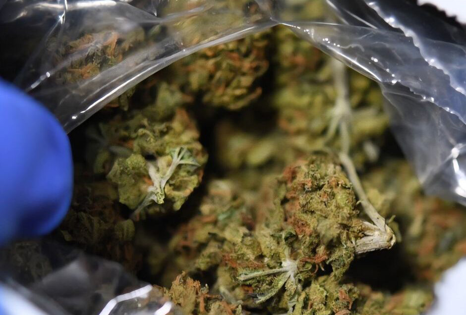 image Remands after cannabis found at courier offices