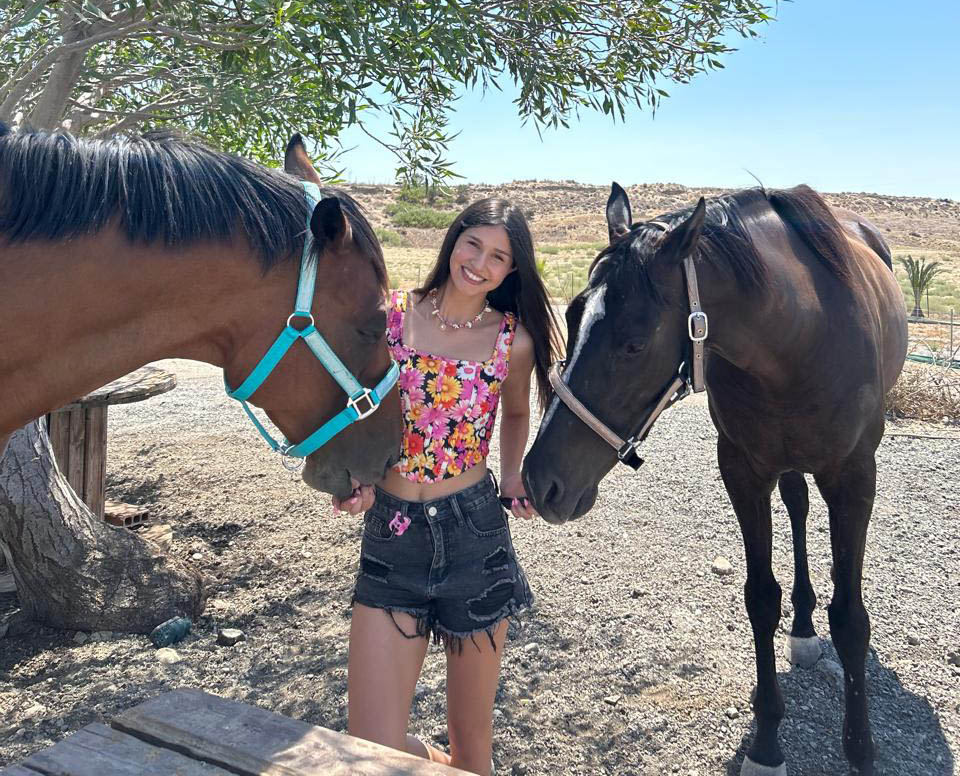 cover A loving home for retired racehorses