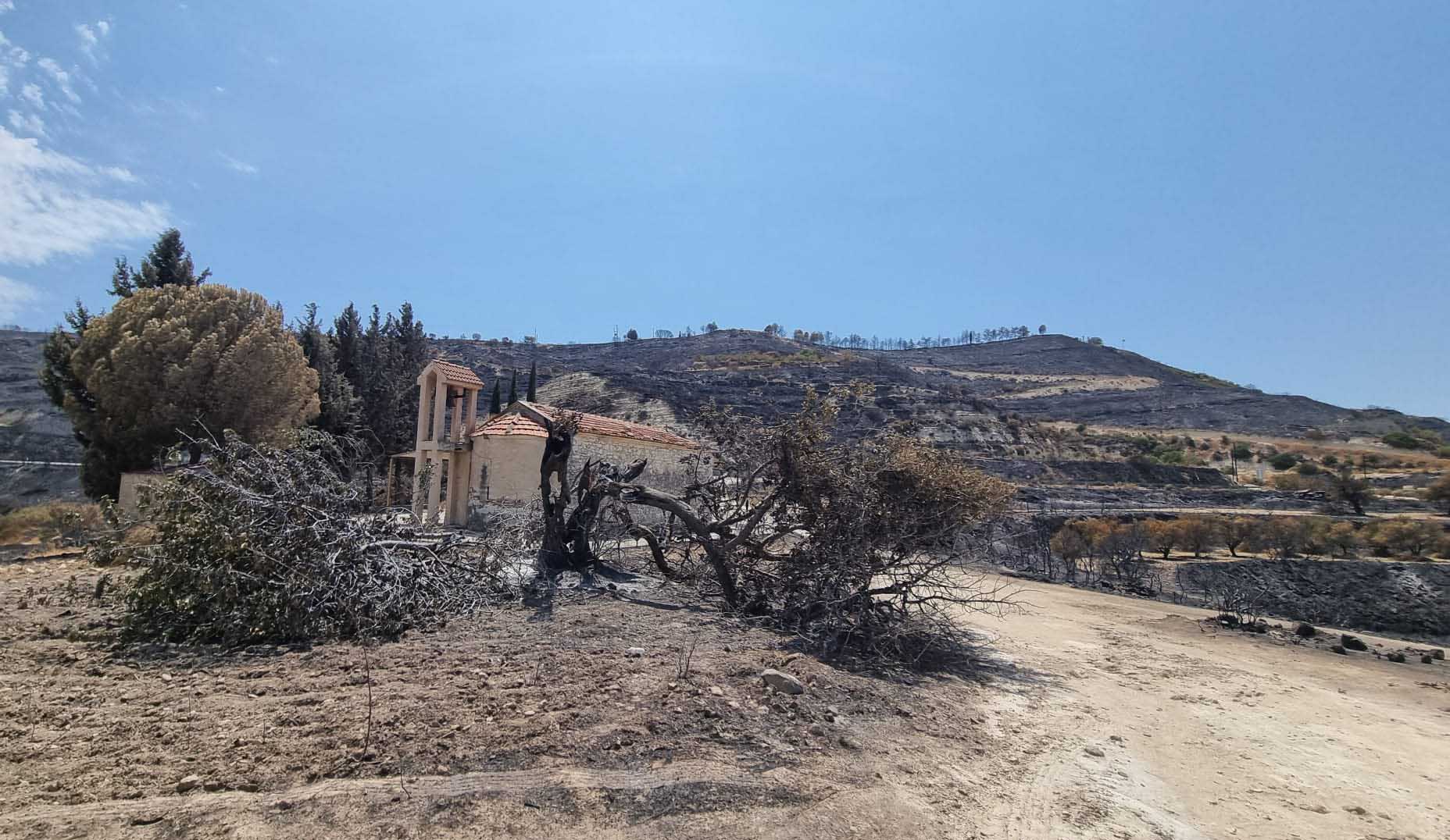 cover Coated with ash: the aftermath of the wildfires