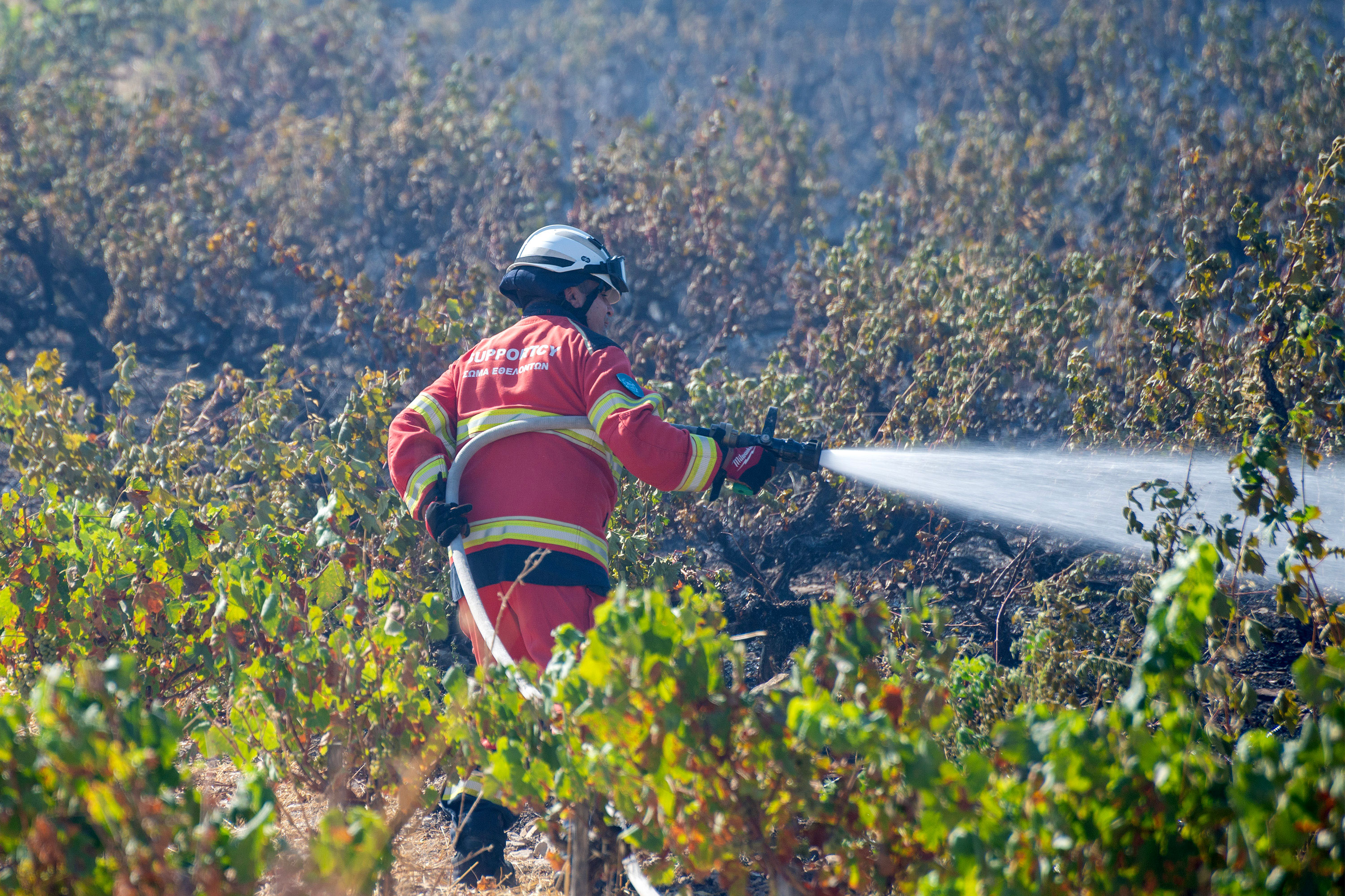 cover Mukhtar and fire service at odds over cause of wildfire