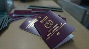 cover North’s ruling coalition naturalises 124 people hours before pre-election cutoff