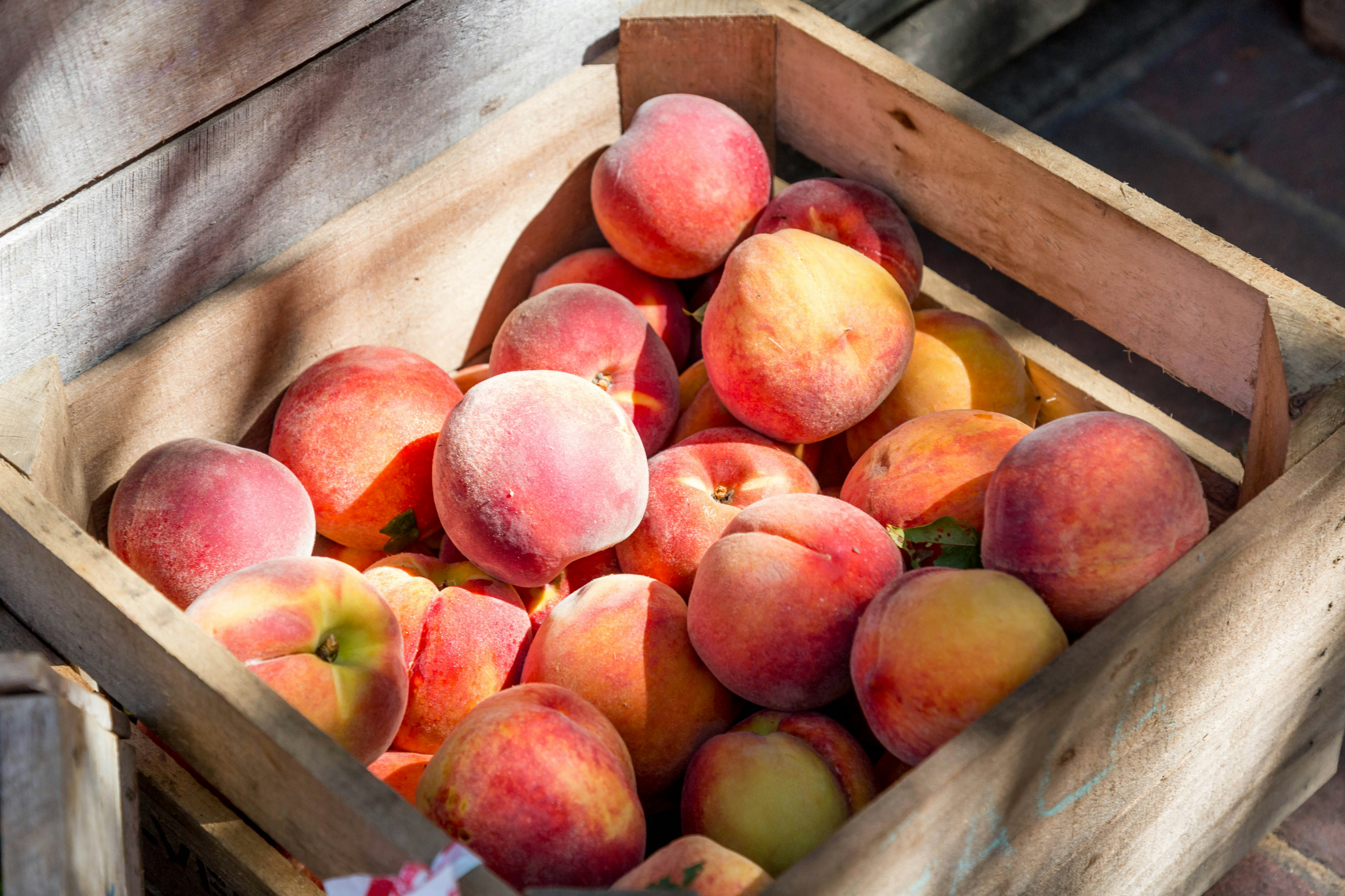 cover Village festival celebrates summer fruit