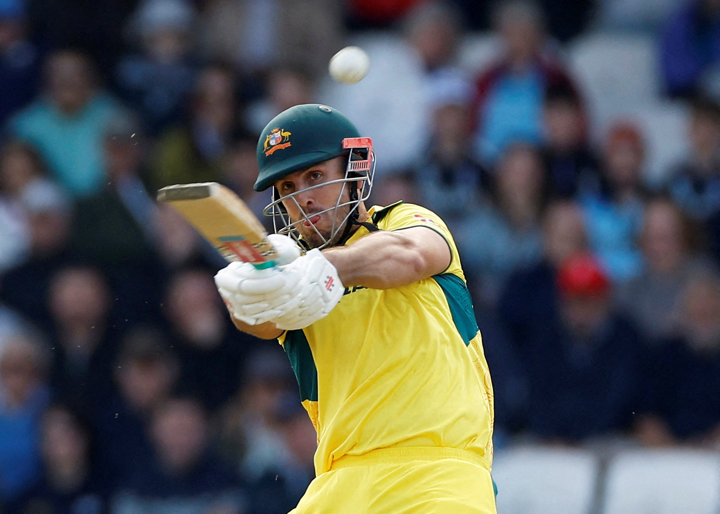 cover Australia win T20 series against South Africa after Maxwell heroics