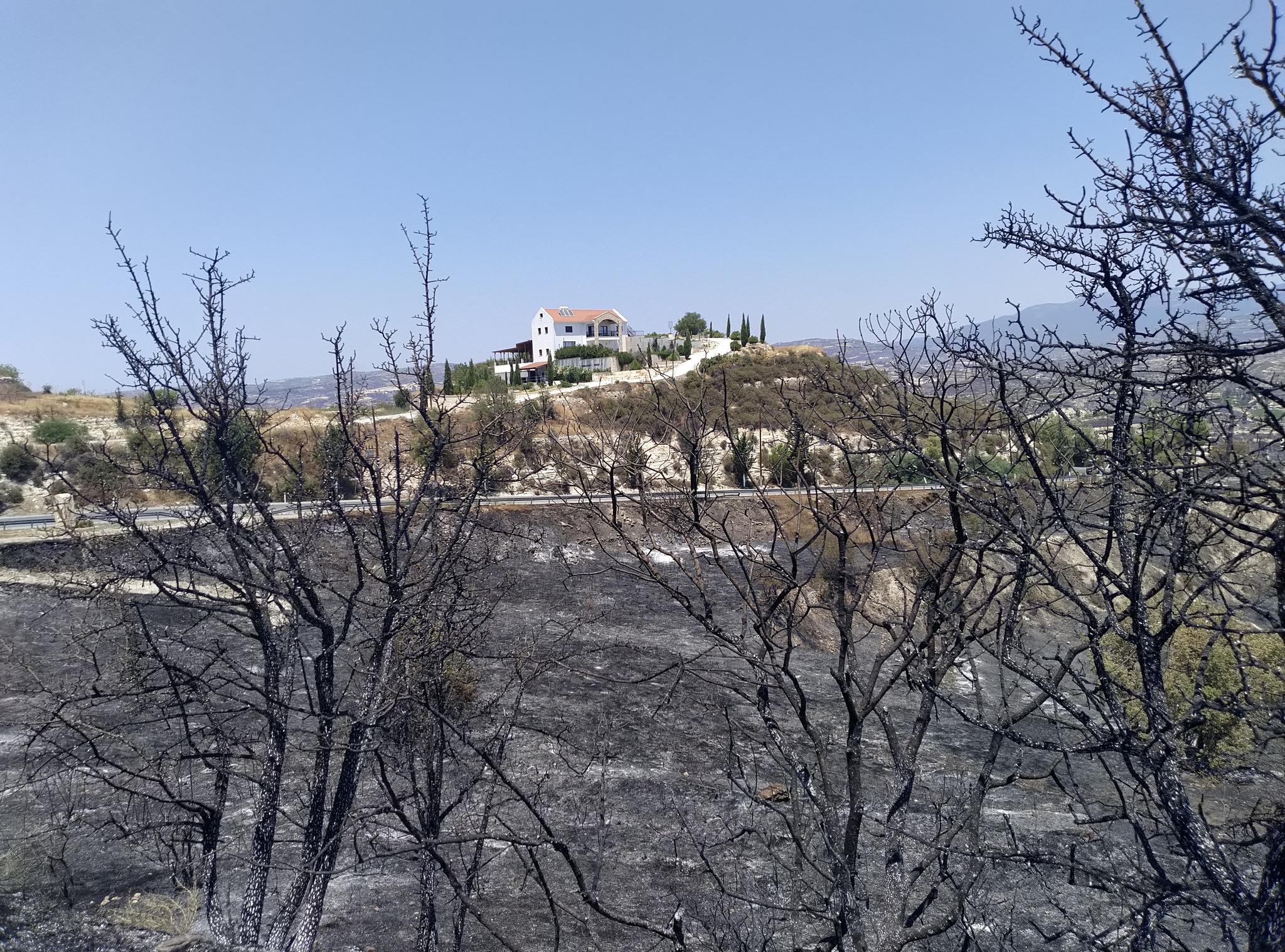 cover Cyprus vineyards hit by wildfire