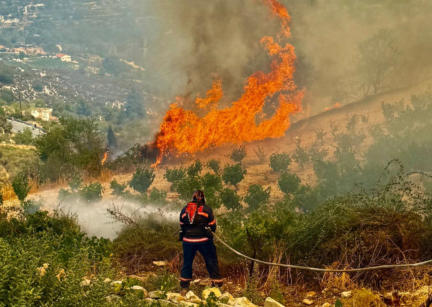 cover ‘Too little too late’ for forest firefighters