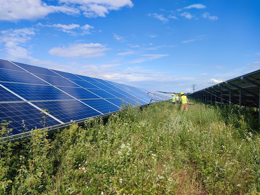 cover The Role of Operation and Maintenance for Photovoltaic Installations and Farms in Cyprus