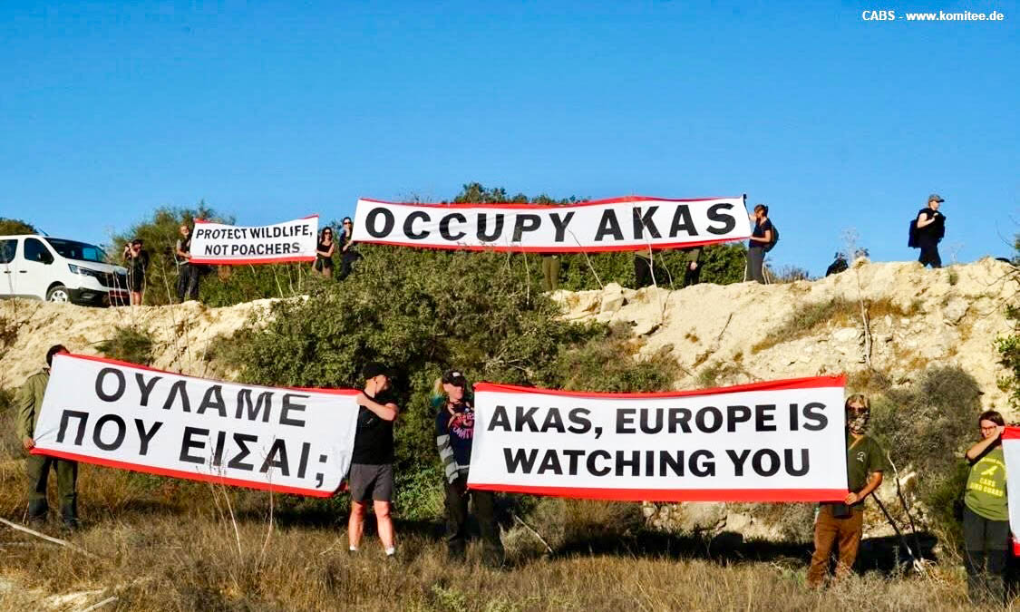 image Songbird trapping in Cyprus: a growing national and environmental crisis