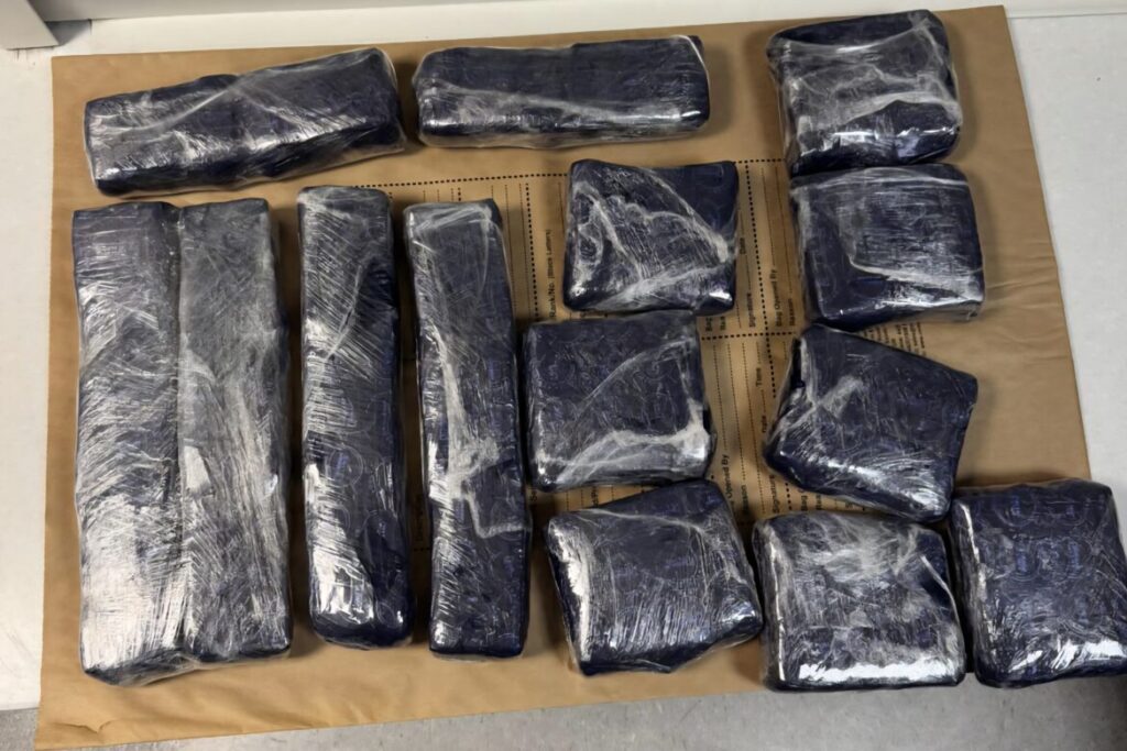 cover Teen jailed for 14 years for smuggling cocaine