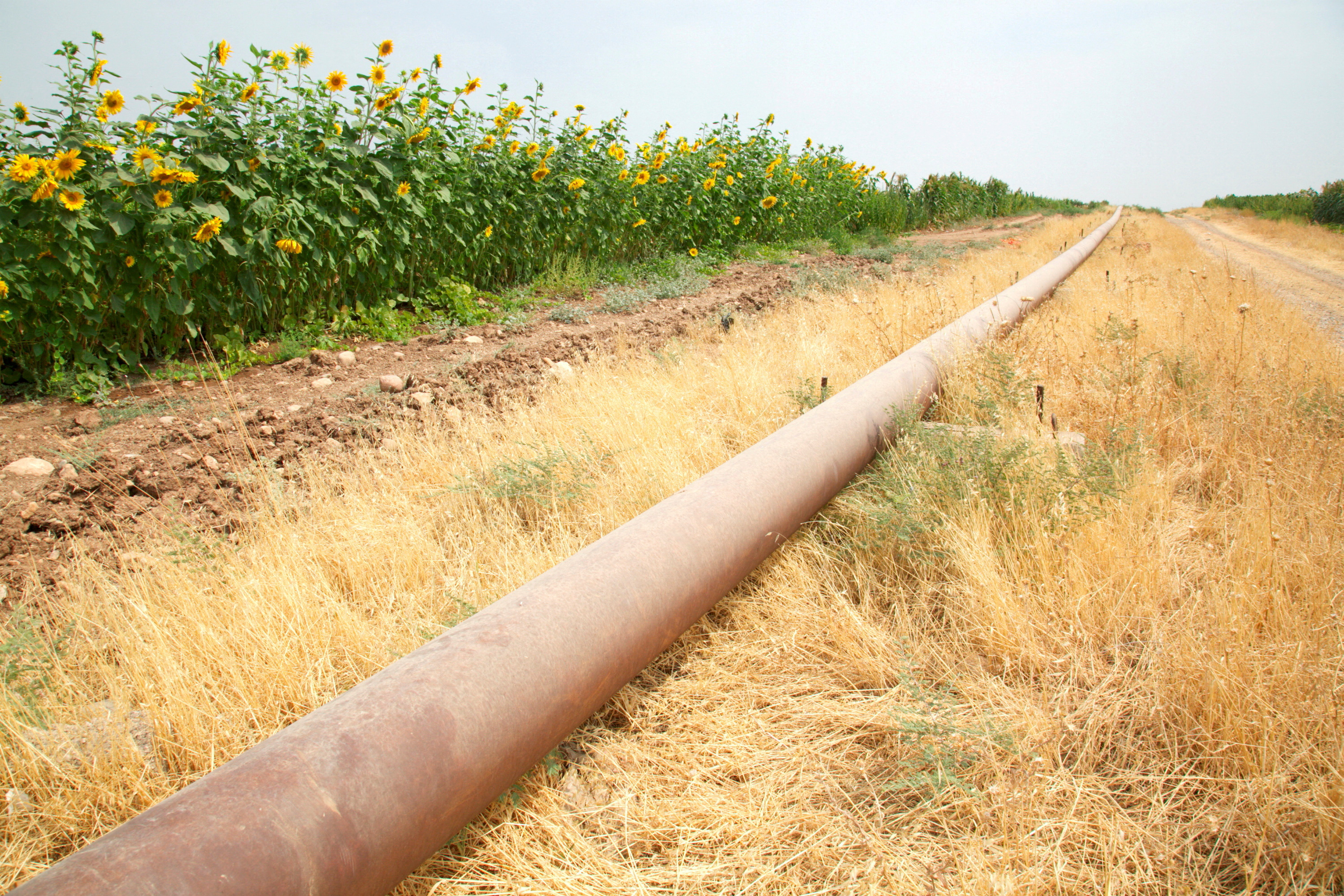 cover Iraq resumes Kurdish oil exports to Turkey after 2.5-year halt