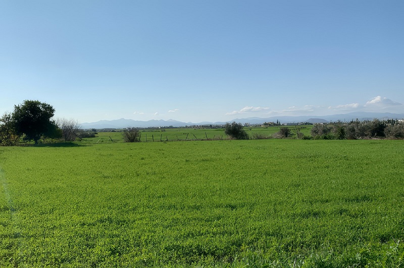 image THEMIS: October e-auctions to feature 180+ agricultural land plots from €1K