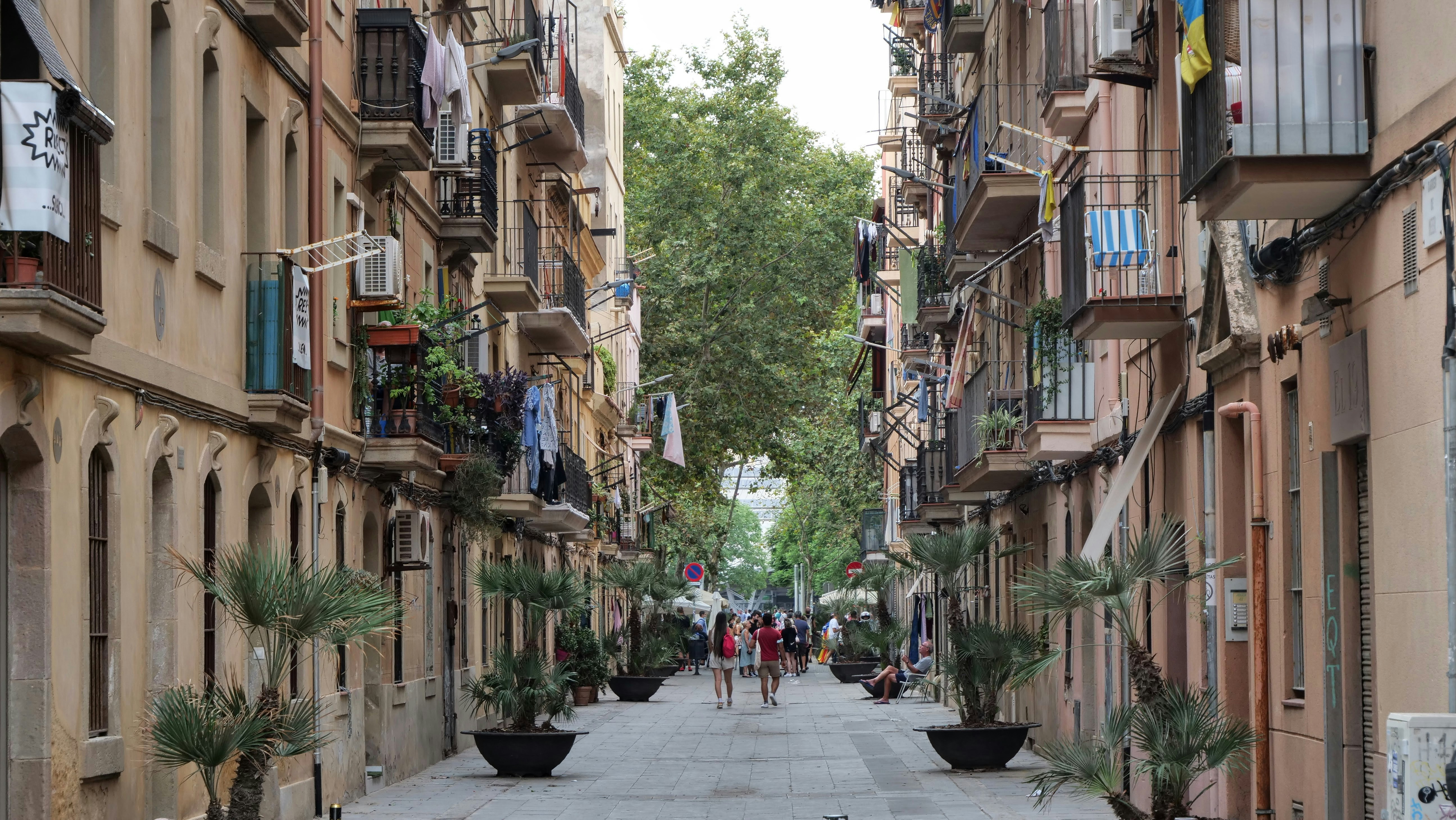 cover Barcelona for the curious