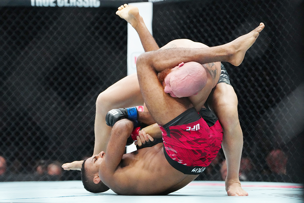 image UFC fights to take place at White House on June 14, Trump says