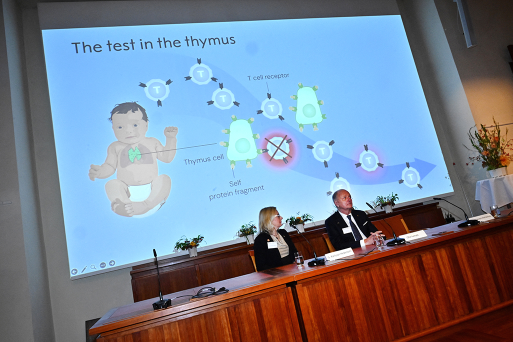 image Immune system breakthrough wins Nobel medicine prize for US, Japan scientists
