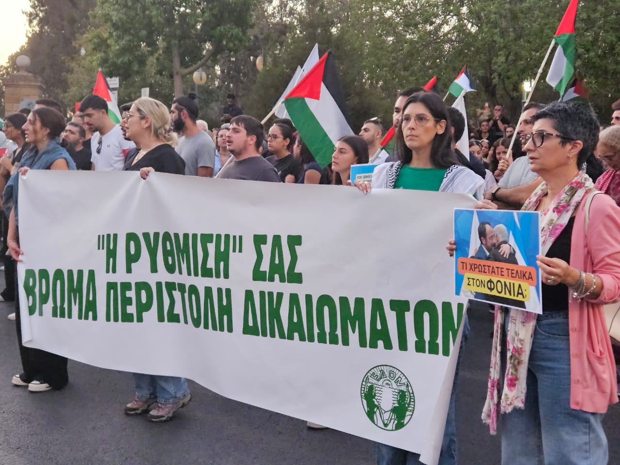image Protest against police violence at Gaza flotilla demo