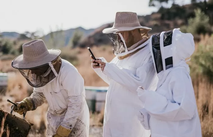 cover The fight to protect Cyprus’ bees