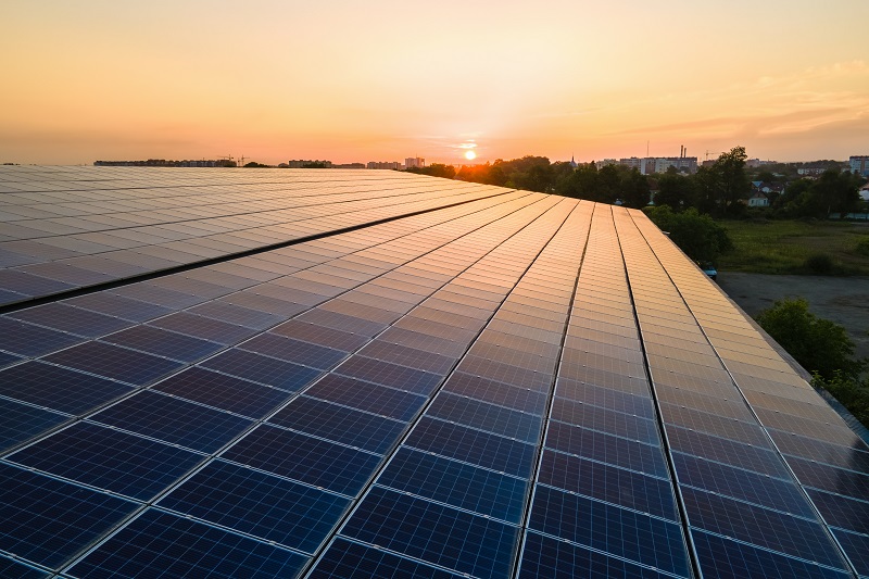 cover All Medochemie manufacturing plants now powered by green energy