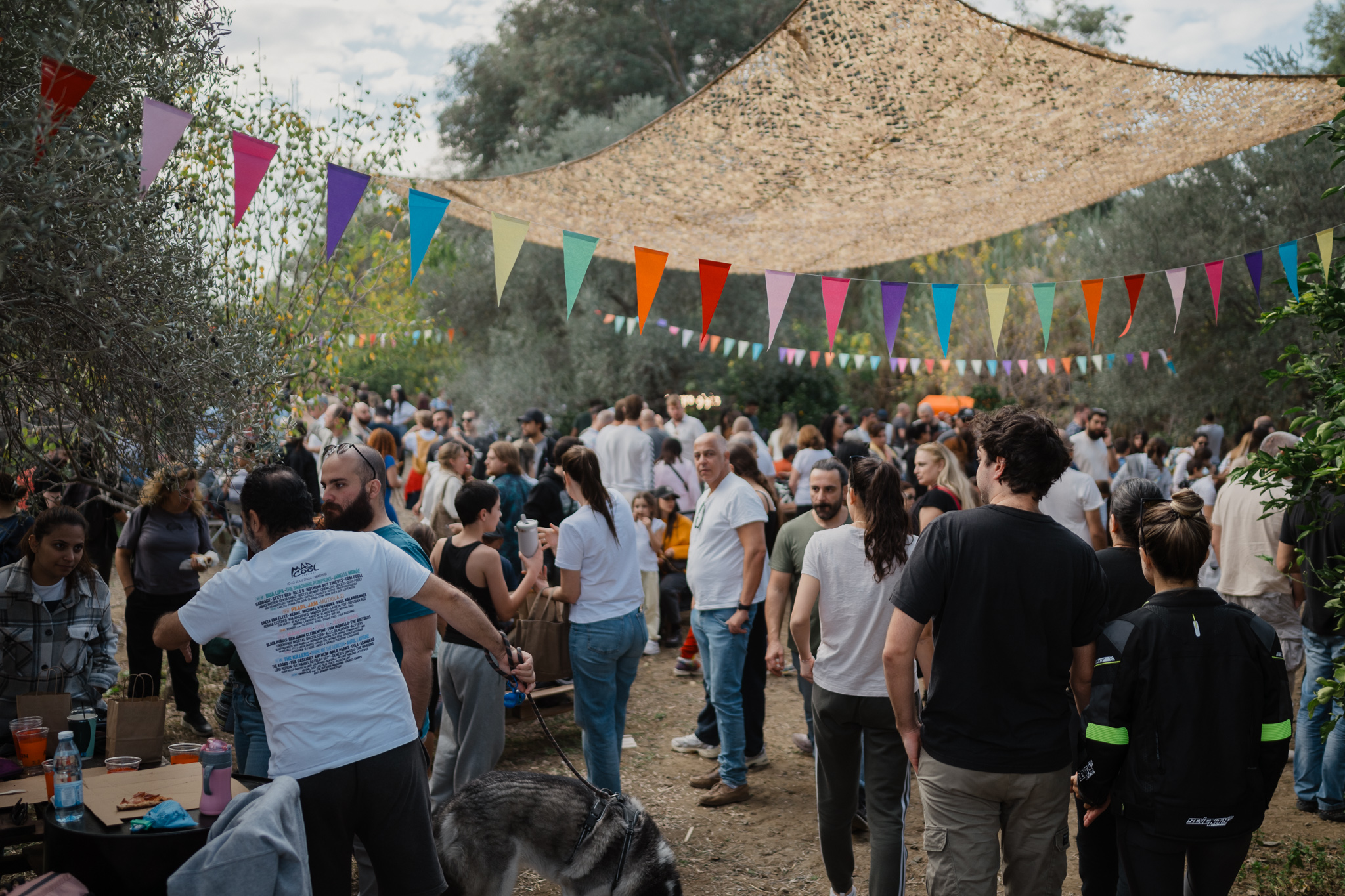 cover What’s on this weekend