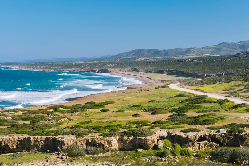 cover BirdLife welcomes rejection of villa complex near turtle nesting site