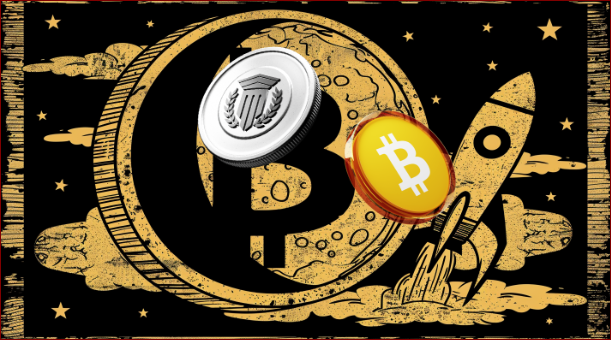 cover Why Bitcoin (BTC) enthusiasts are stacking this cheap crypto for diversified gains