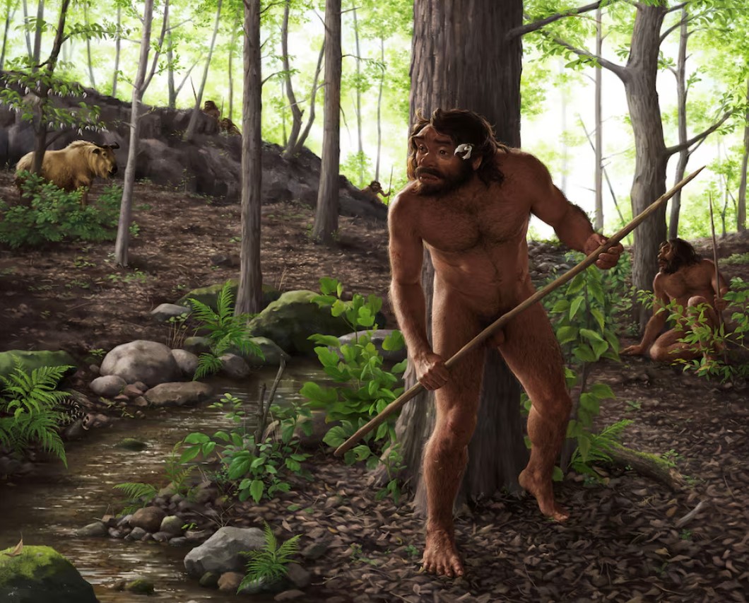 image Ancient skull from China may shake up timeline of human evolution
