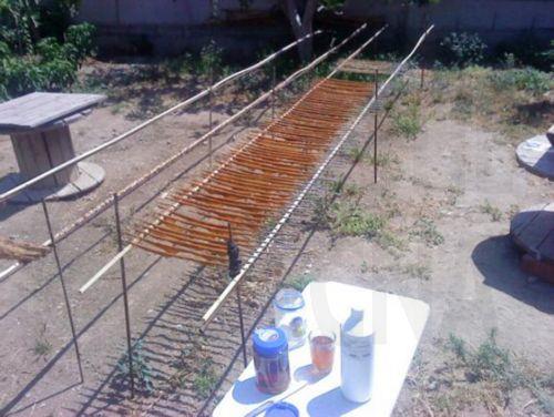 cover Man found with over 100 limesticks, one bird released