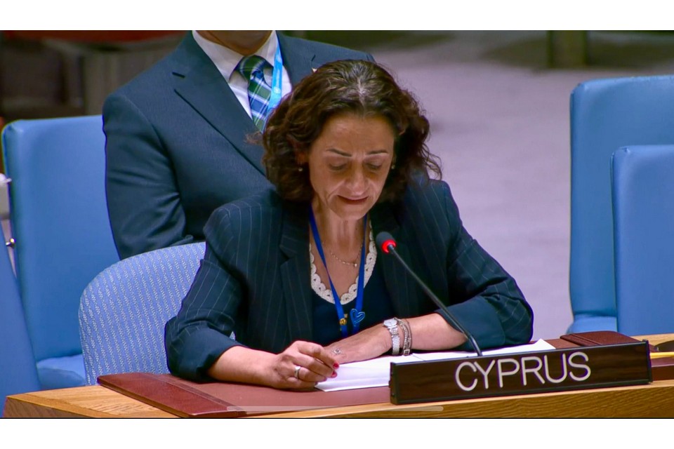 image Cyprus ‘proof of the vital importance of respect for international law’