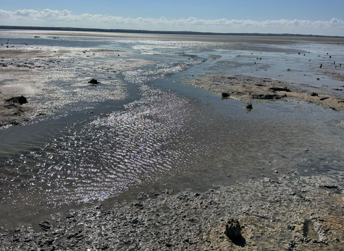 cover Terra Cypria warns of threats to Akrotiri wetland