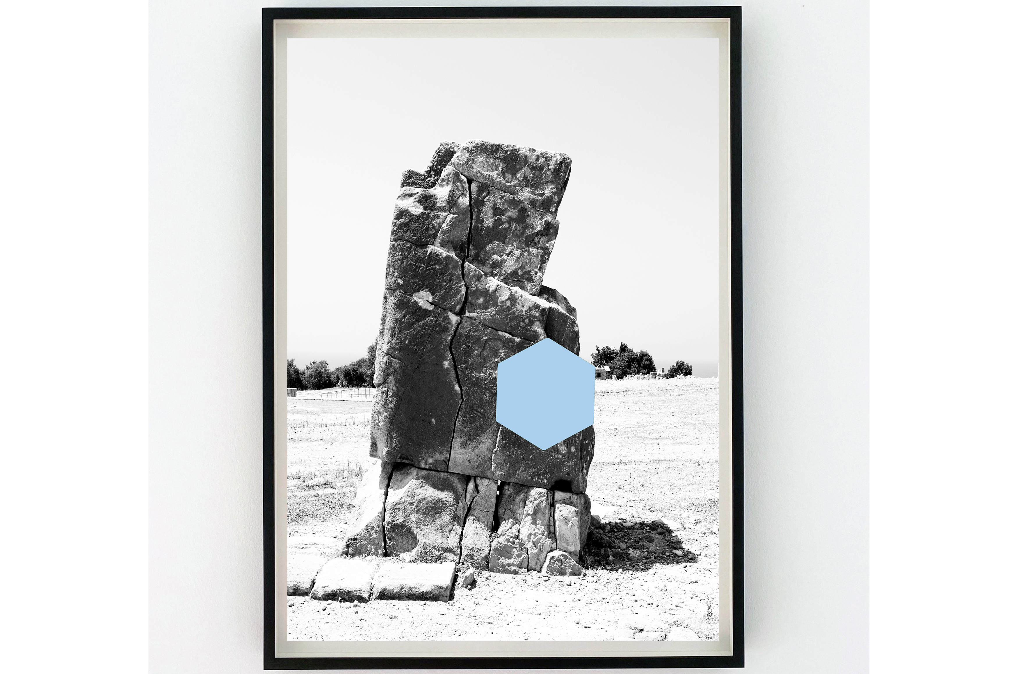 image Ongoing exhibition looks at Nature’s Stage