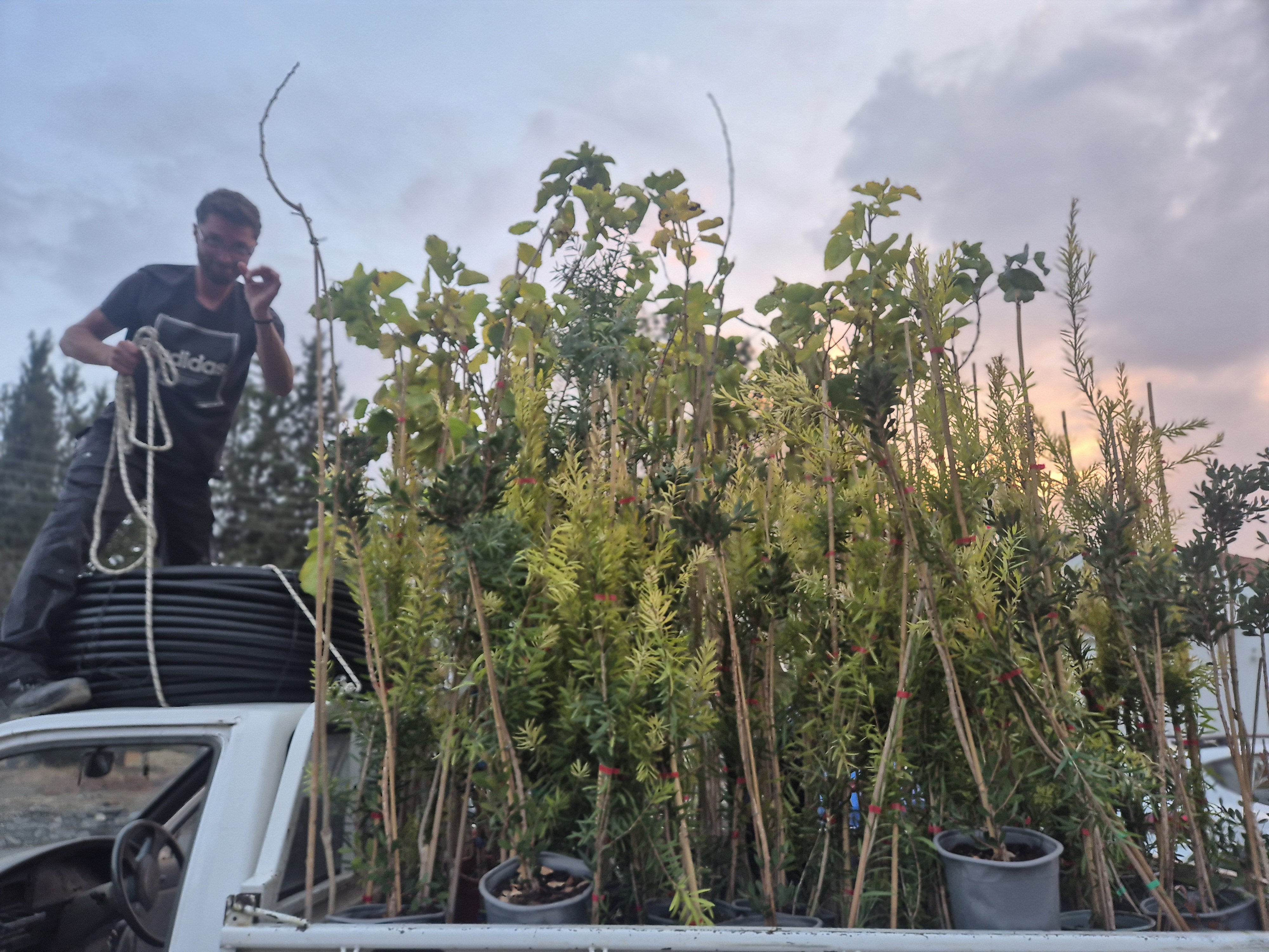 image Green initiative launched in Larnaca bee villages