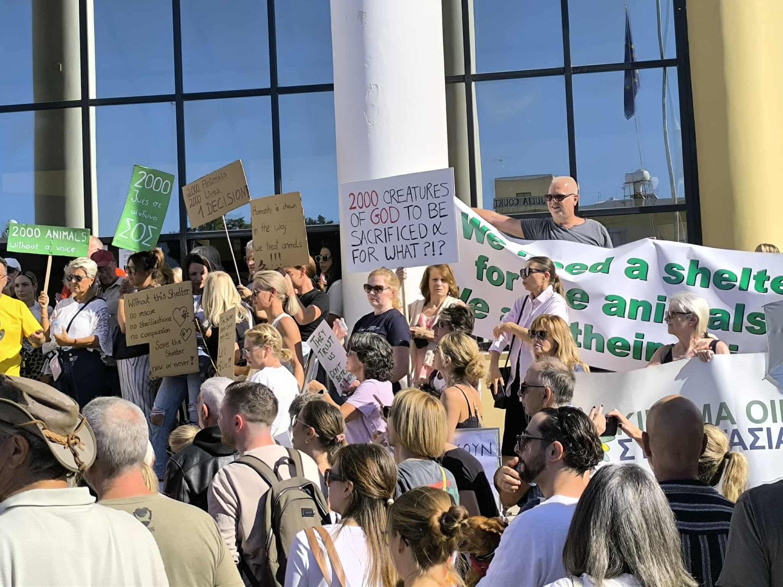 cover Protest held against eviction of 2,000 animals from Paphos shelter